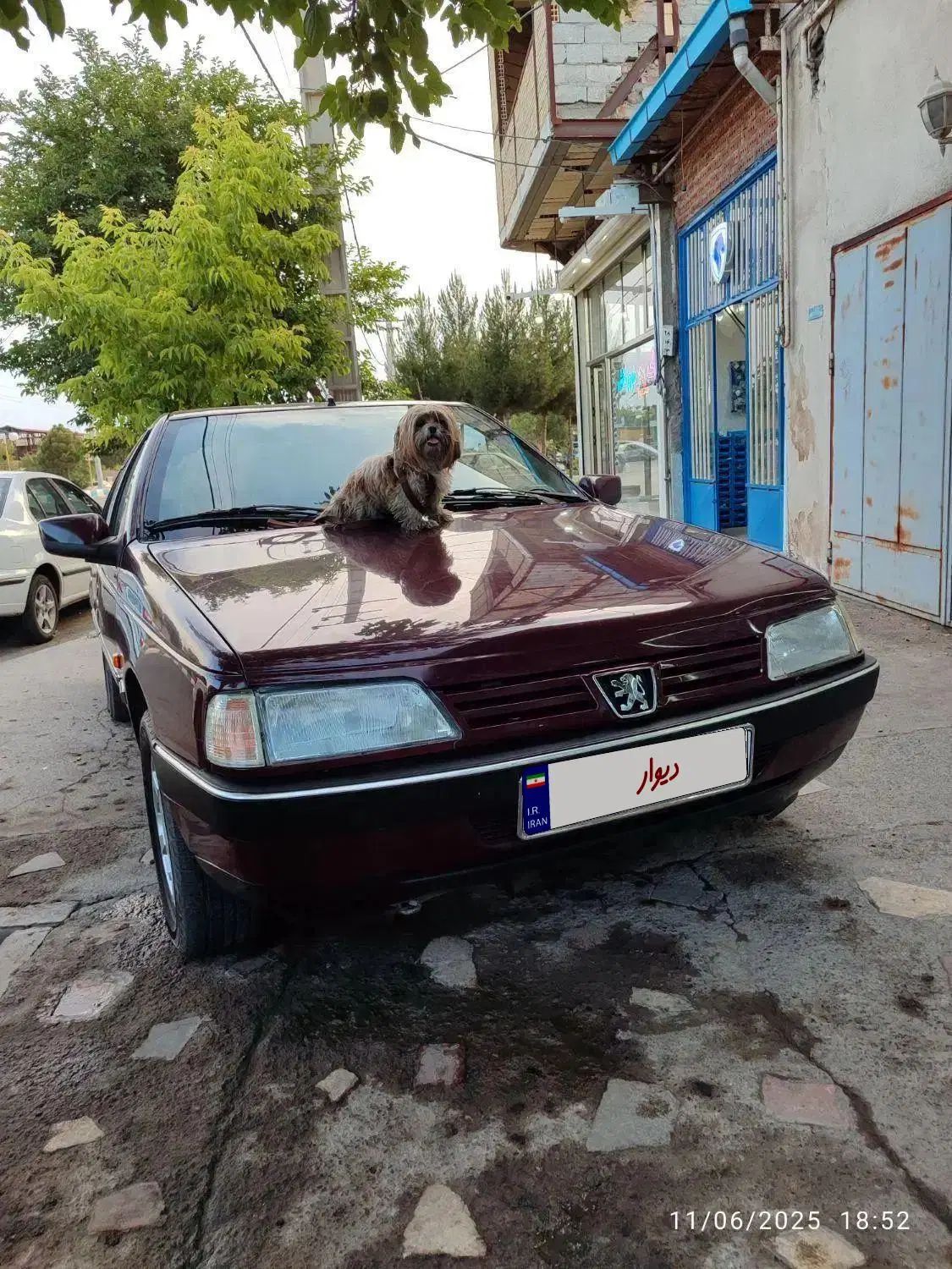 پژو 405 GLI - دوگانه سوز CNG - 1384