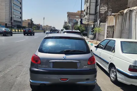 پژو 206 تیپ 5 - 1394