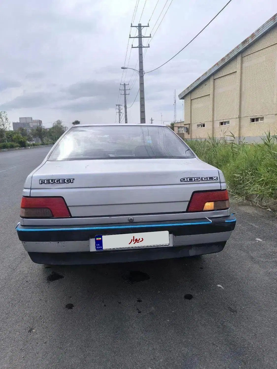 پژو 405 GLX - دوگانه سوز LPG - 1393