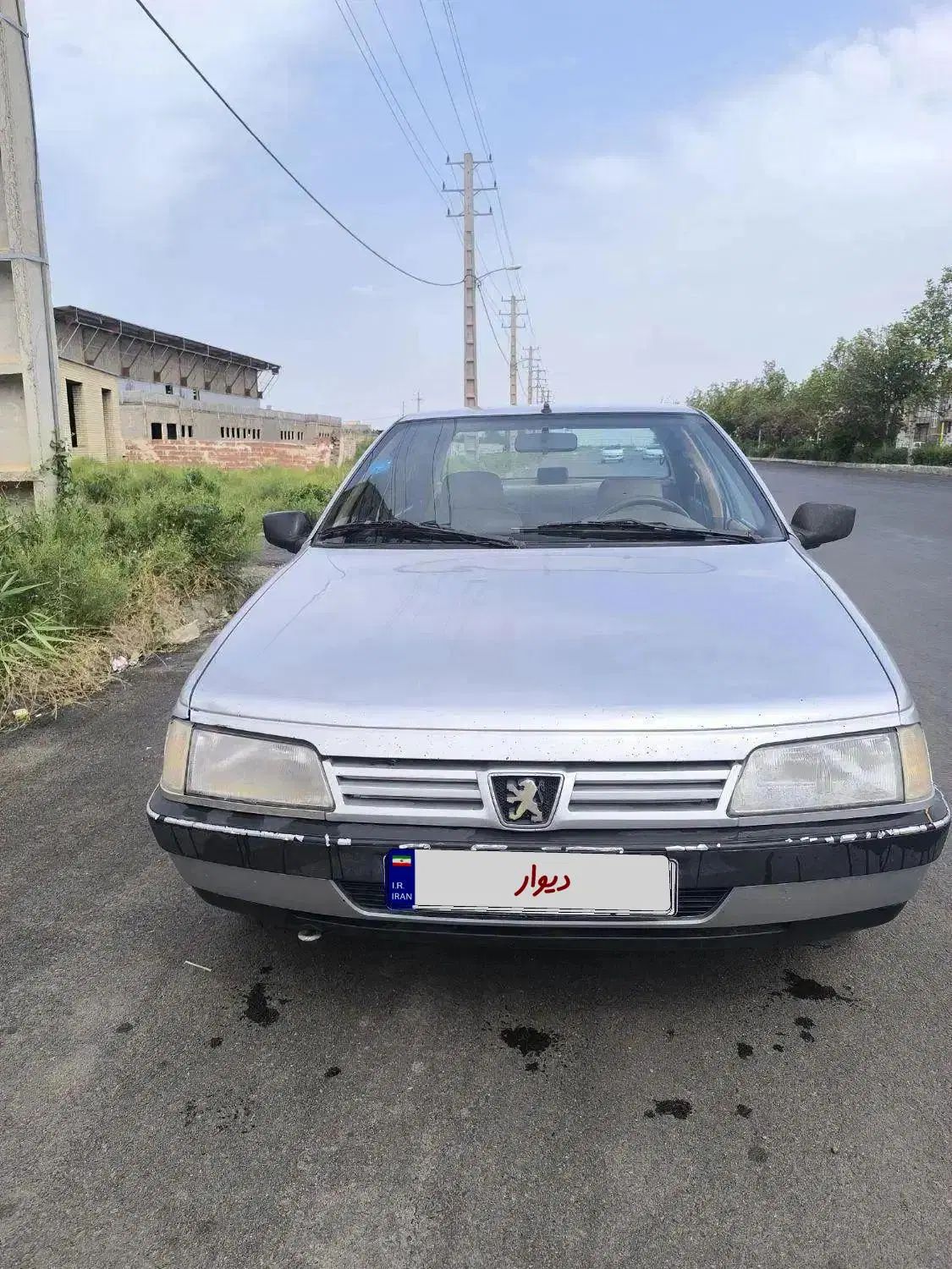 پژو 405 GLX - دوگانه سوز LPG - 1393