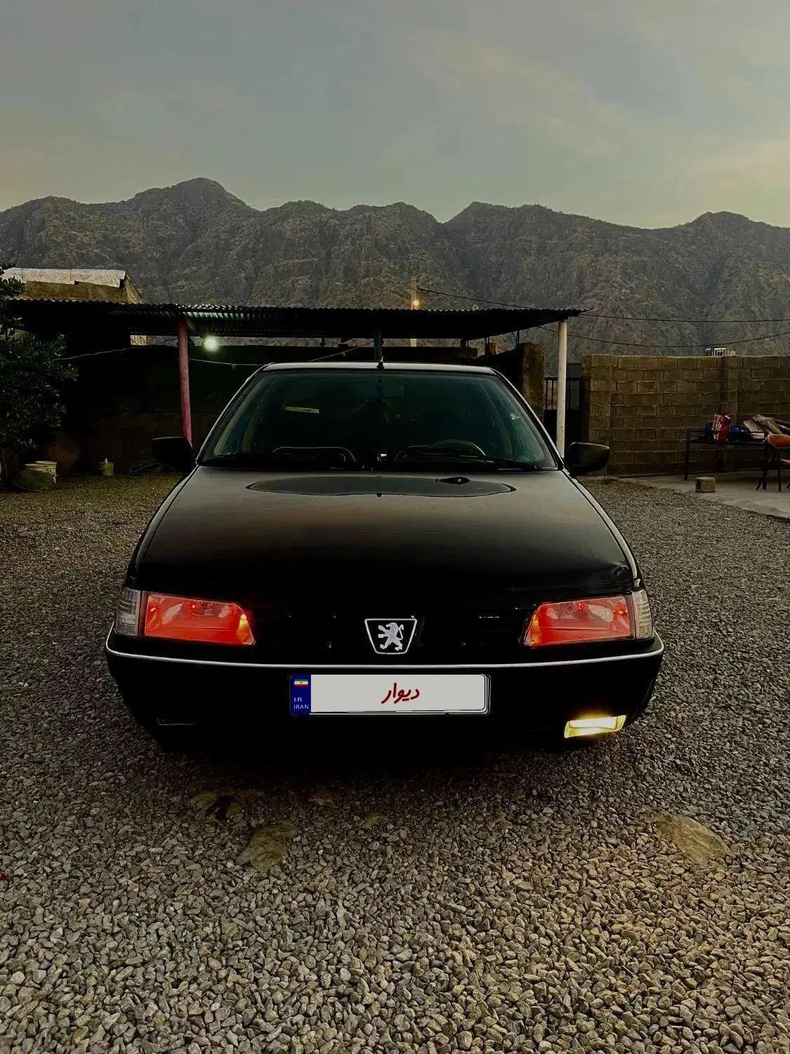 پژو 405 GLX - دوگانه سوز - 1391