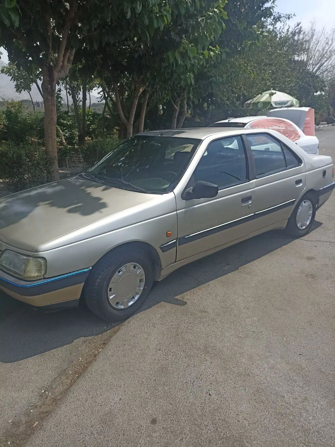 پژو 405 GLX - 1383