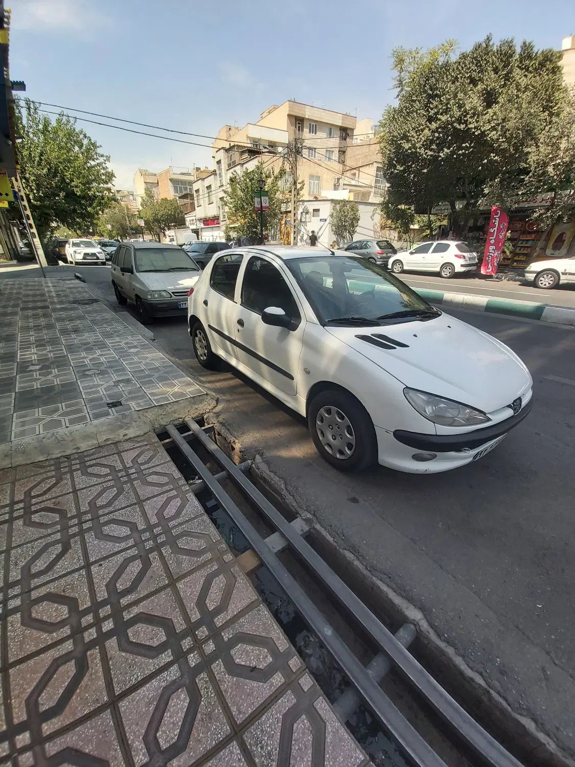 پژو 206 تیپ 5 - 1393