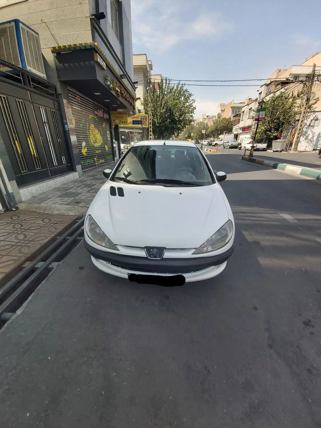 پژو 206 تیپ 5 - 1393