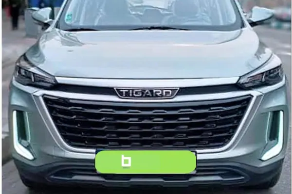 تیگارد X35 پرایم - 1404