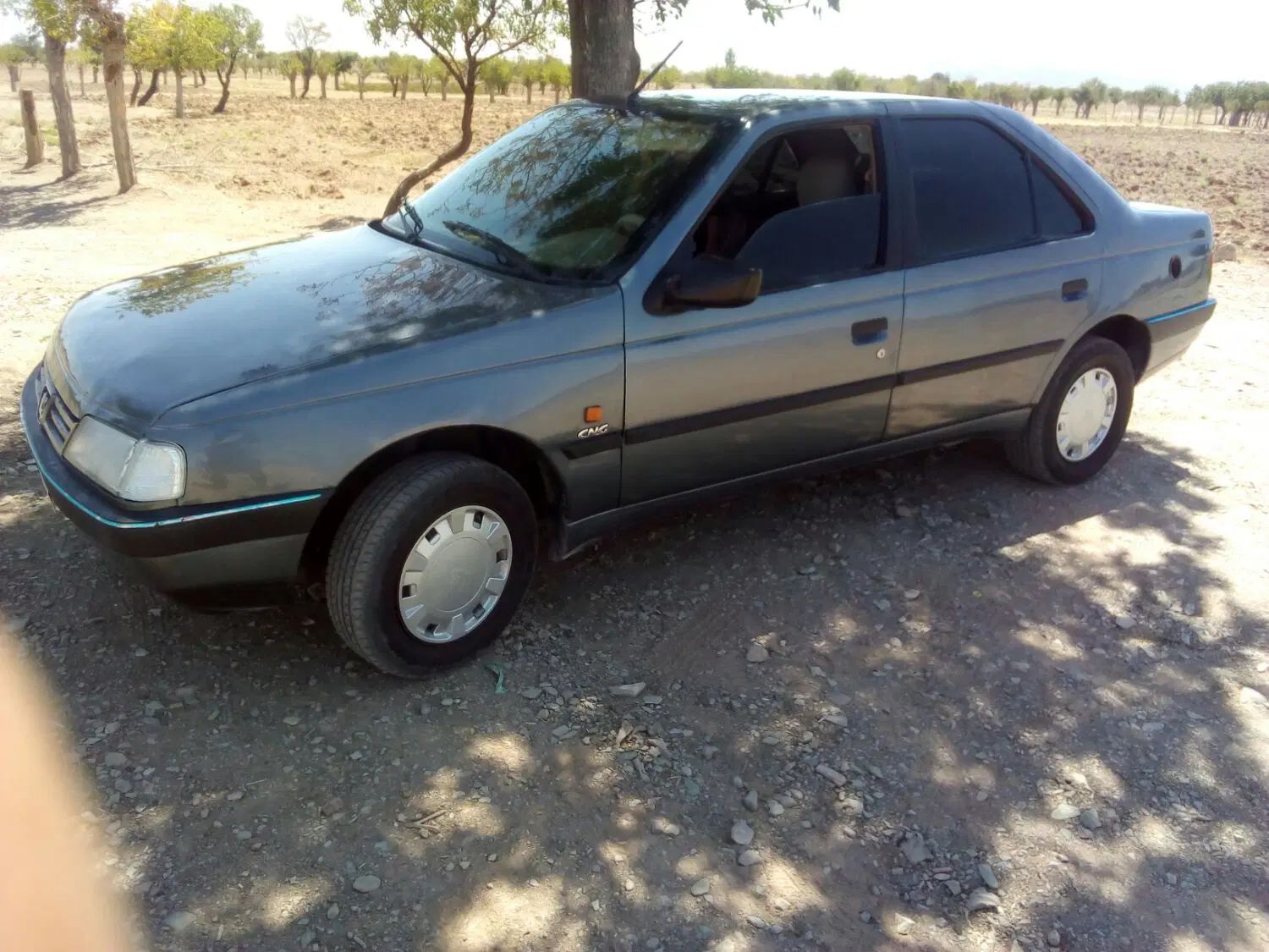 پژو 405 GLX - دوگانه سوز - 1396