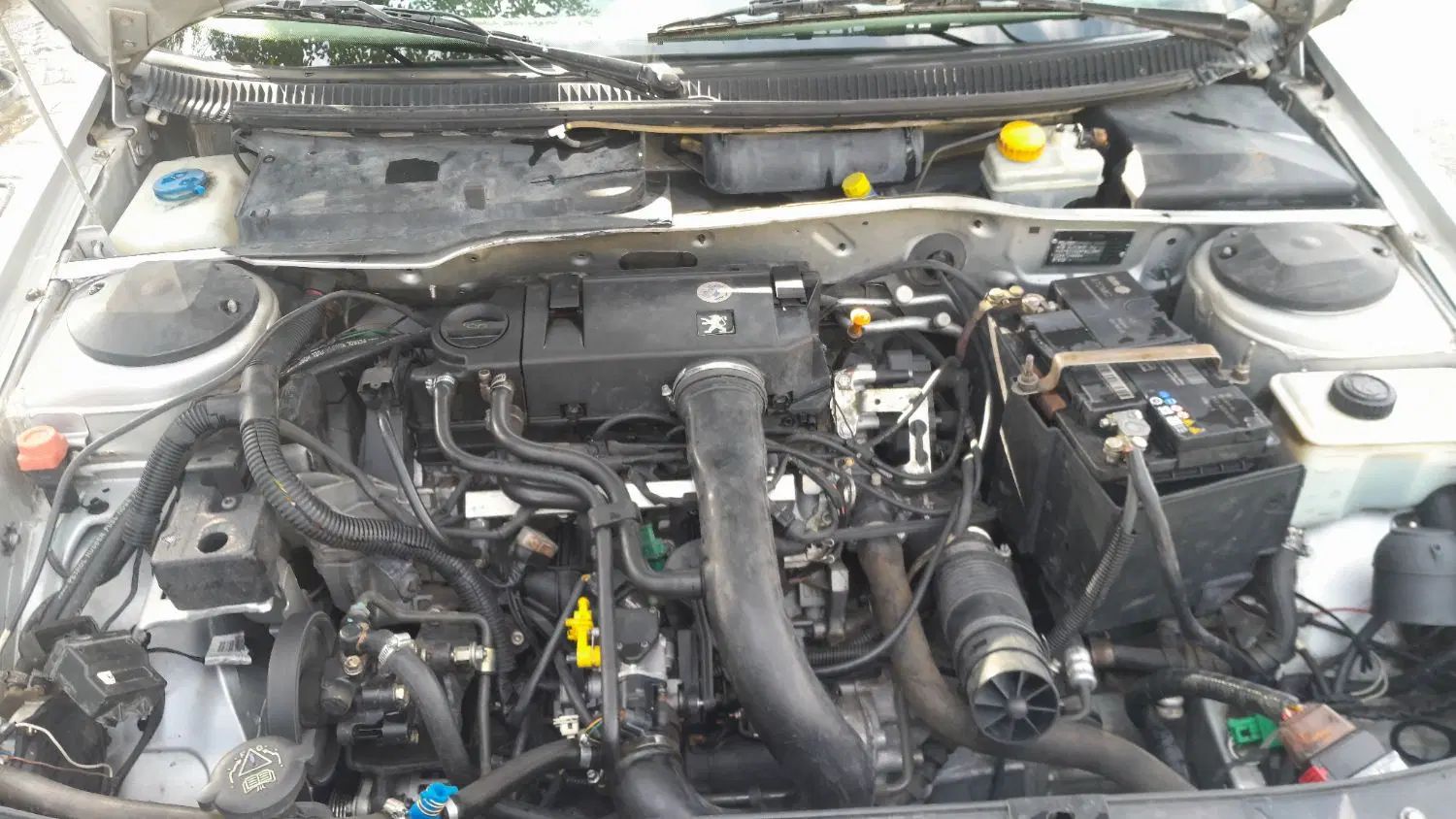 پژو 405 GLX - دوگانه سوز - 1387