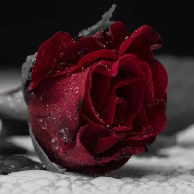 خودرو پژو، 207 آگهی ann_20000223