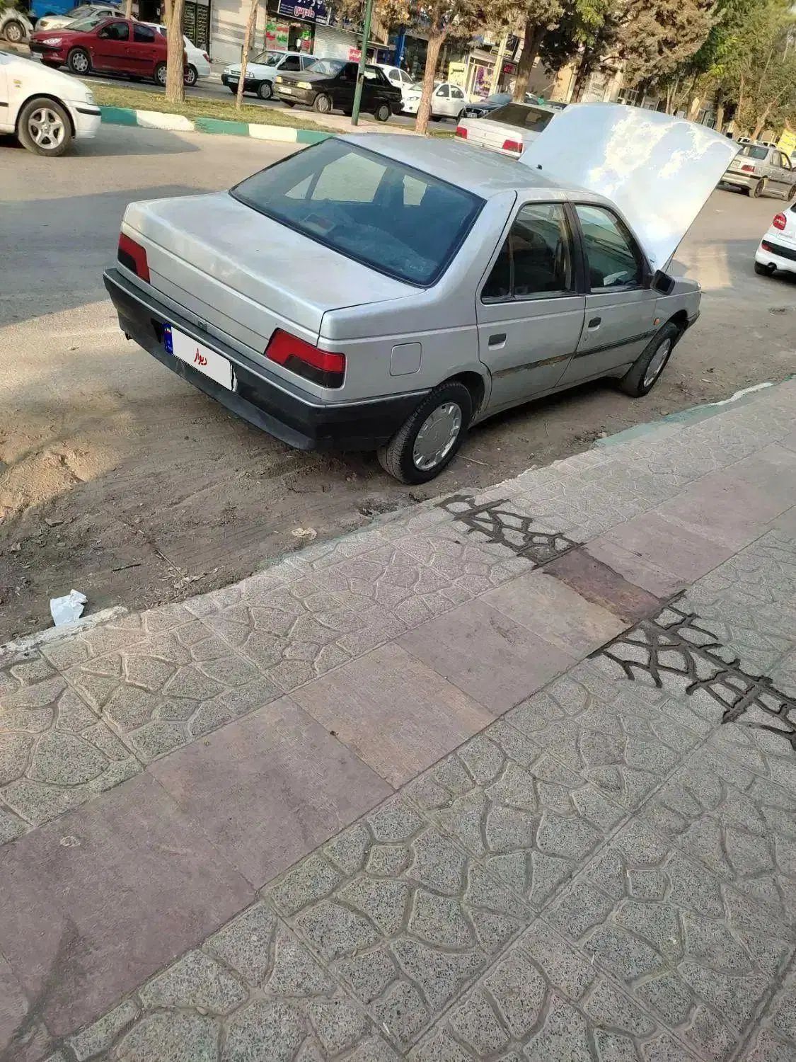 پژو روآ G2 دوگانه سوز - 1388