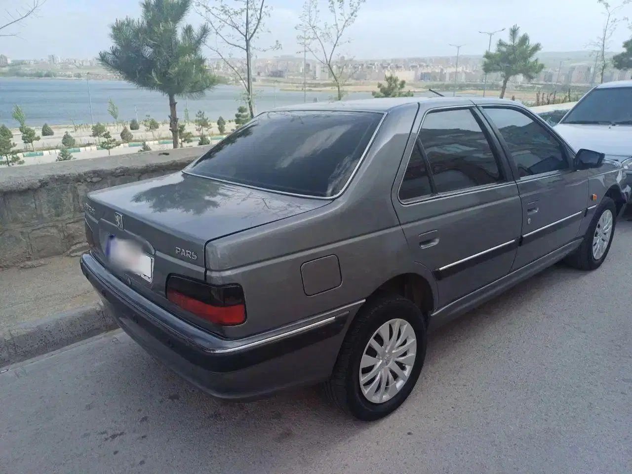 پژو پارس ELX-XU7P سفارشی - 1393