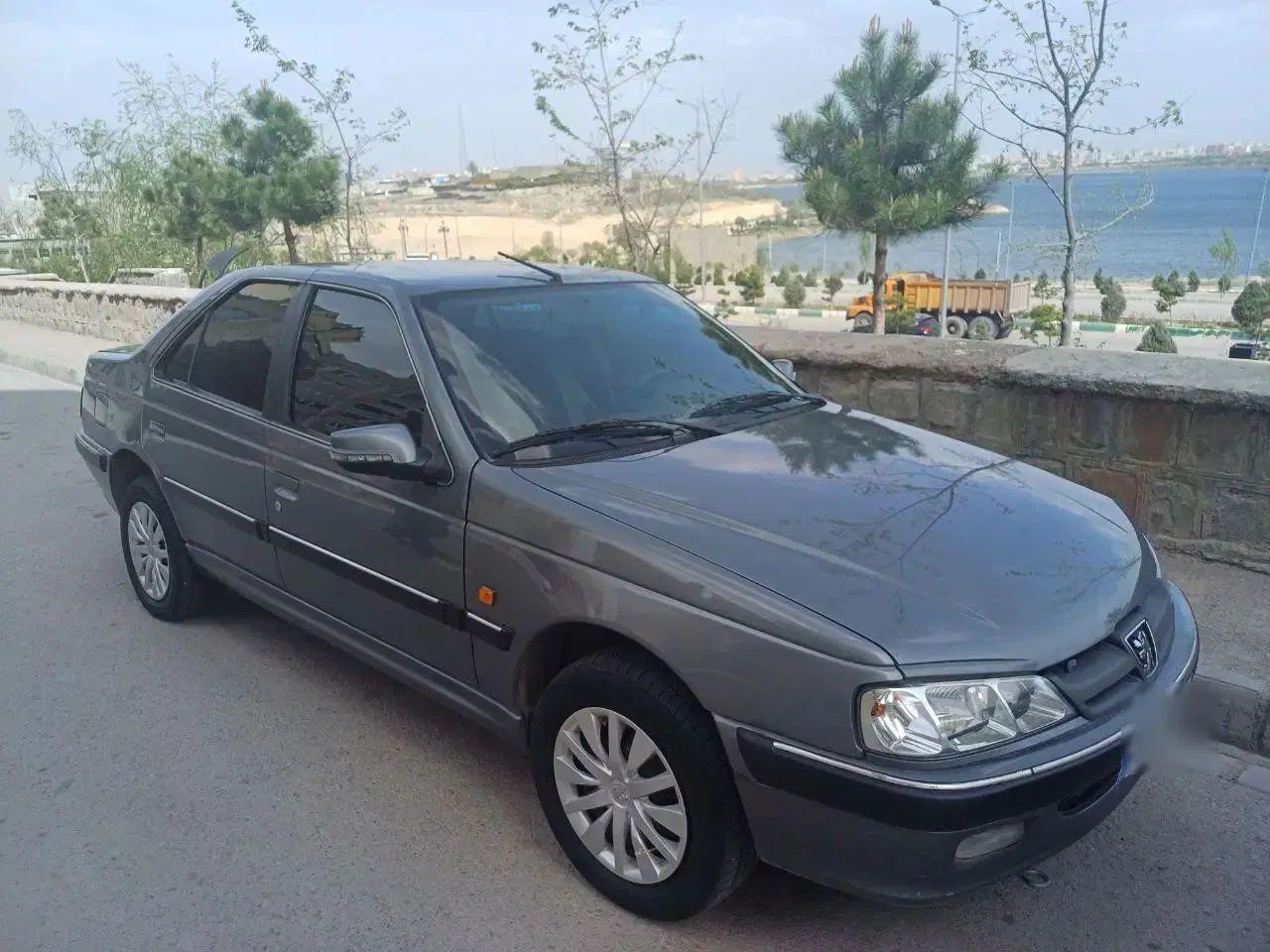 پژو پارس ELX-XU7P سفارشی - 1393