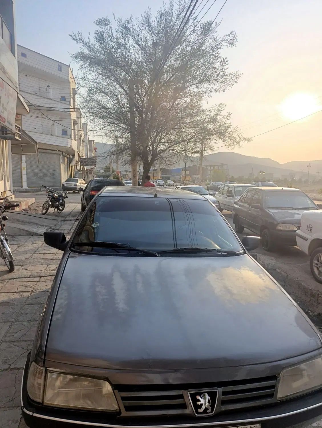 پژو 405 GLX - دوگانه سوز - 1395