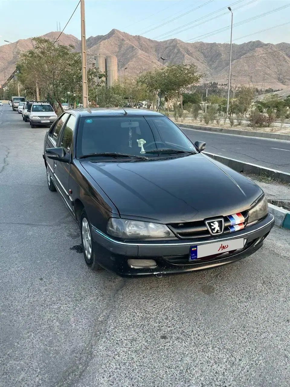 پژو پارس ELX-XU7P سفارشی - 1381