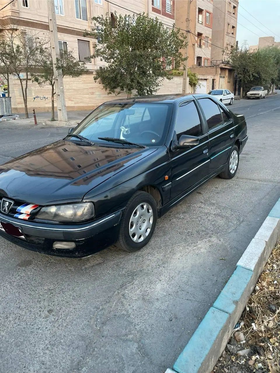 پژو پارس ELX-XU7P سفارشی - 1381