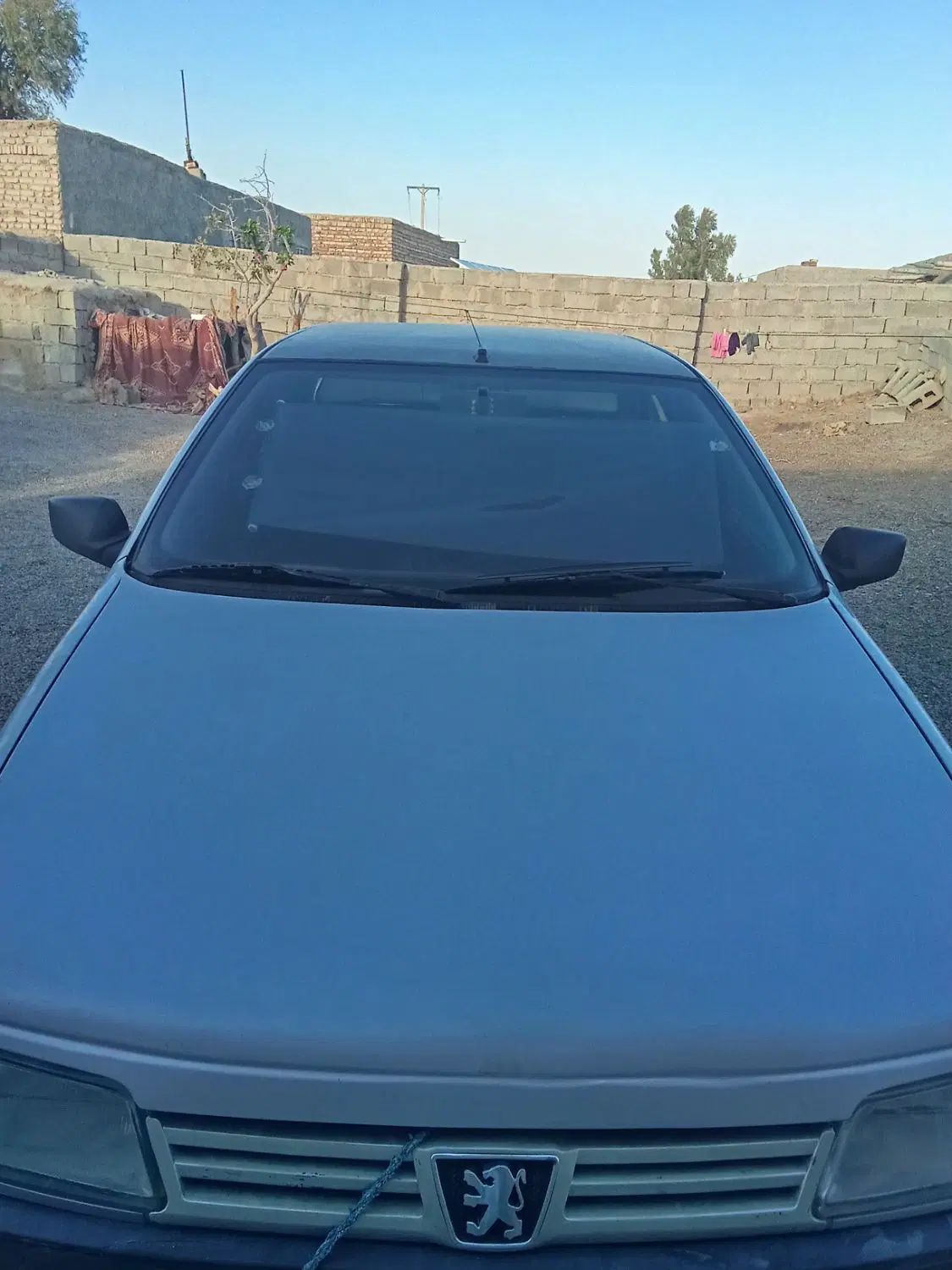 پژو 405 GLX - دوگانه سوز - 1387