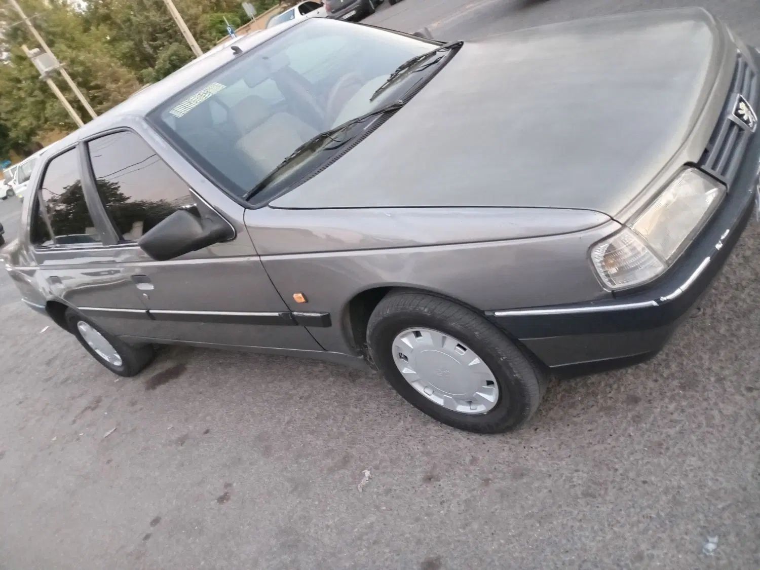 پژو 405 GLX - دوگانه سوز - 1389