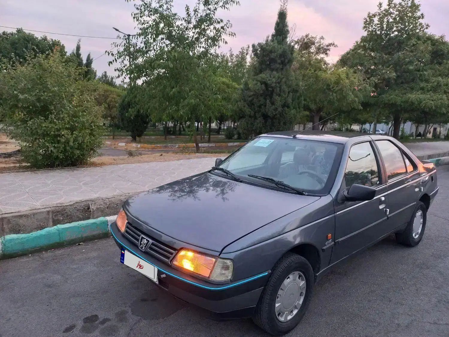 پژو 405 GL - دوگانه سوز CNG - 1370