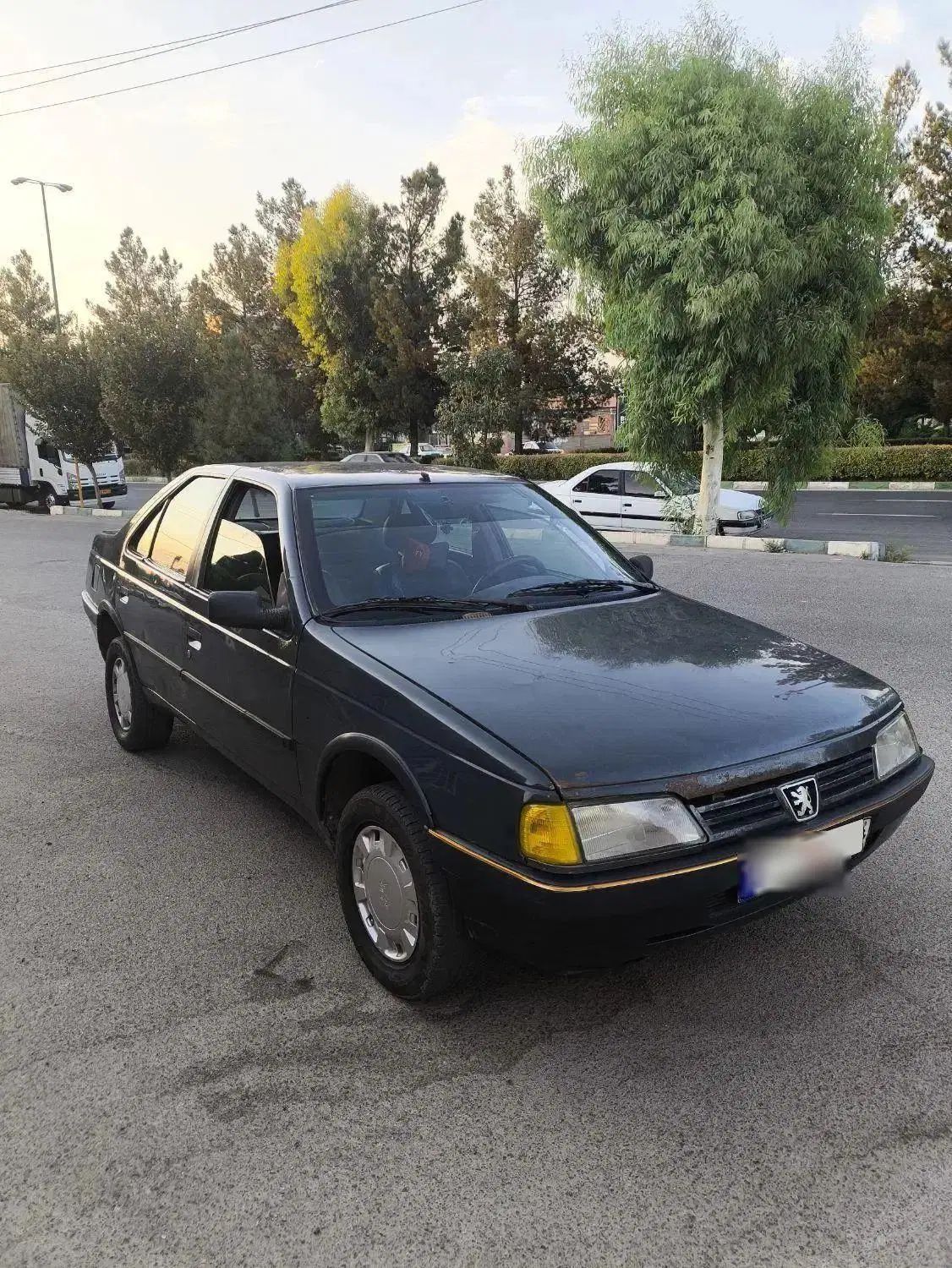 پژو 405 GLX - دوگانه سوز - 1383