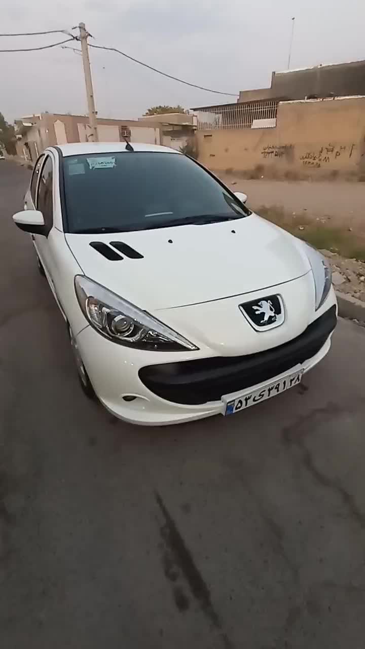خودرو پژو، 207 آگهی ann_20004287