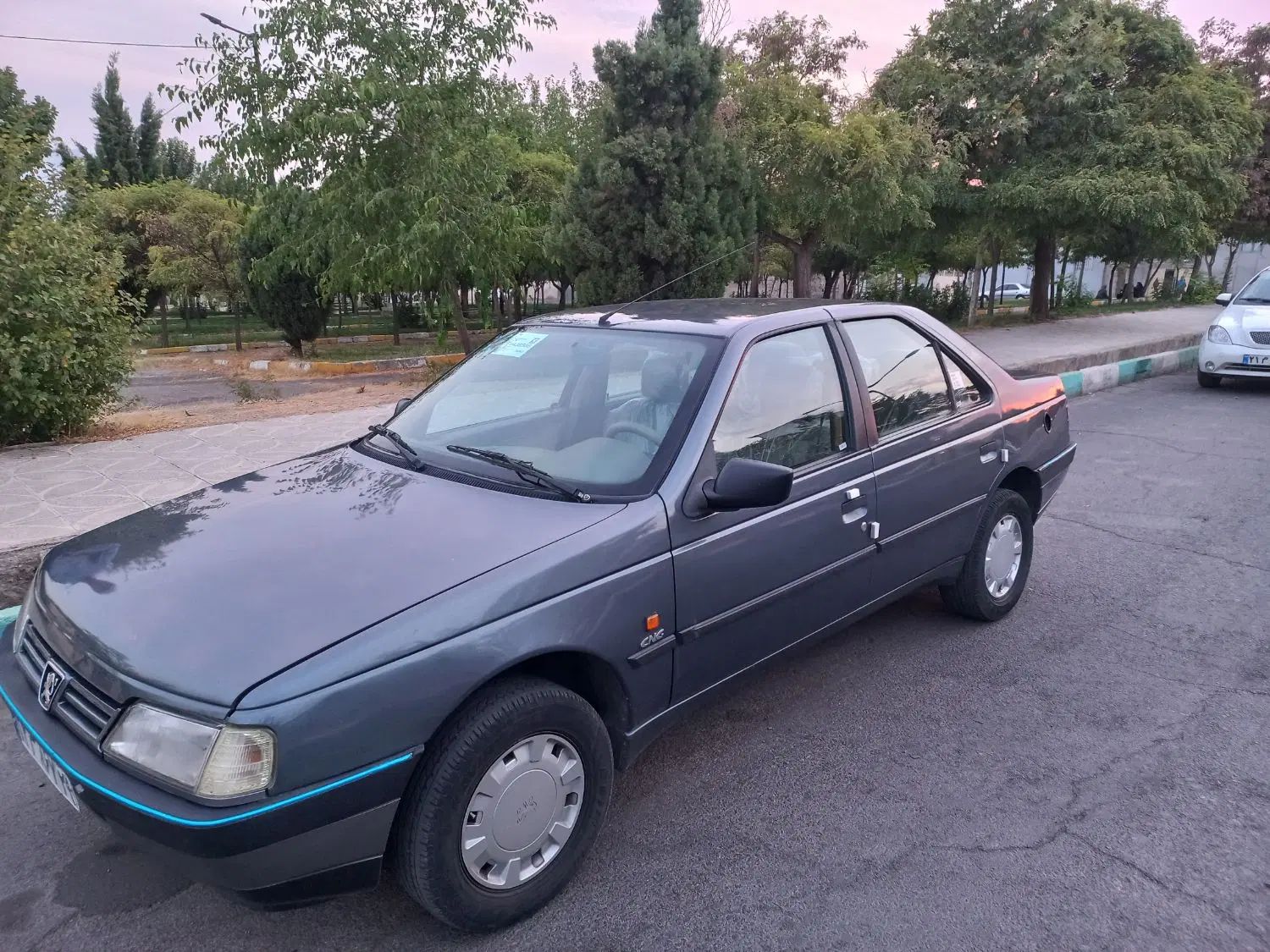 پژو 405 GLX - دوگانه سوز - 1395