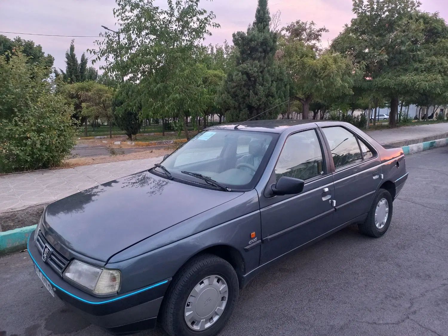 پژو 405 GLX - دوگانه سوز - 1395