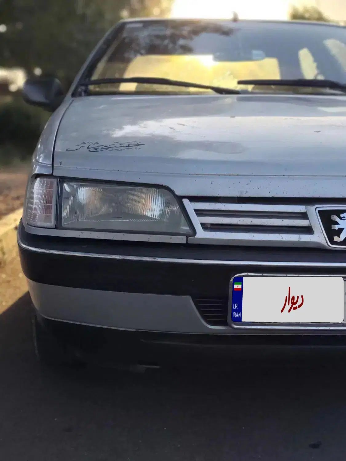 پژو 405 GLX - دوگانه سوز - 1393