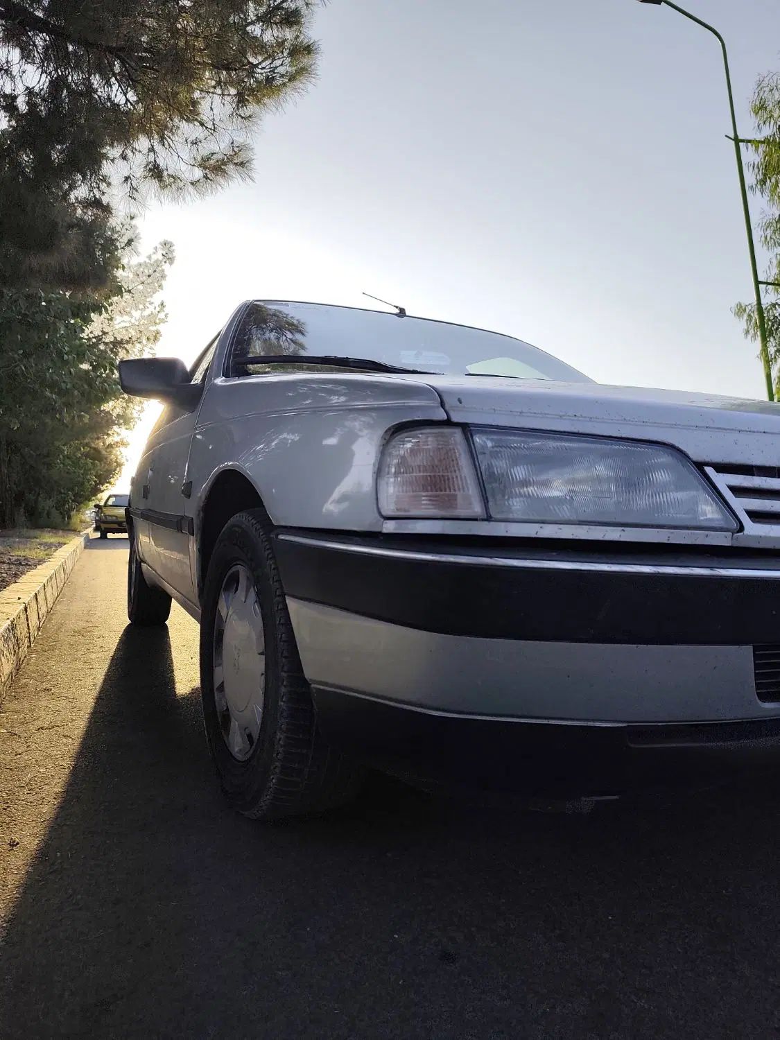 پژو 405 GLX - دوگانه سوز - 1393