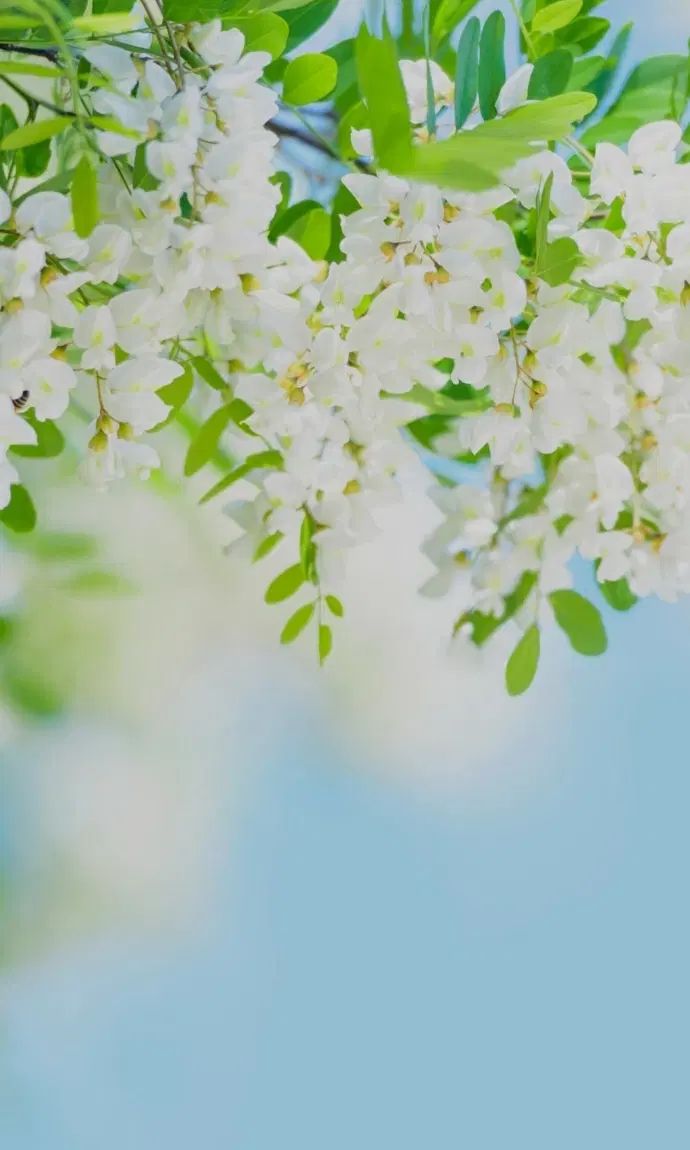 خودرو پژو، 207 آگهی ann_20006702
