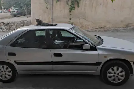 سیتروئن زانتیا SX - 1384