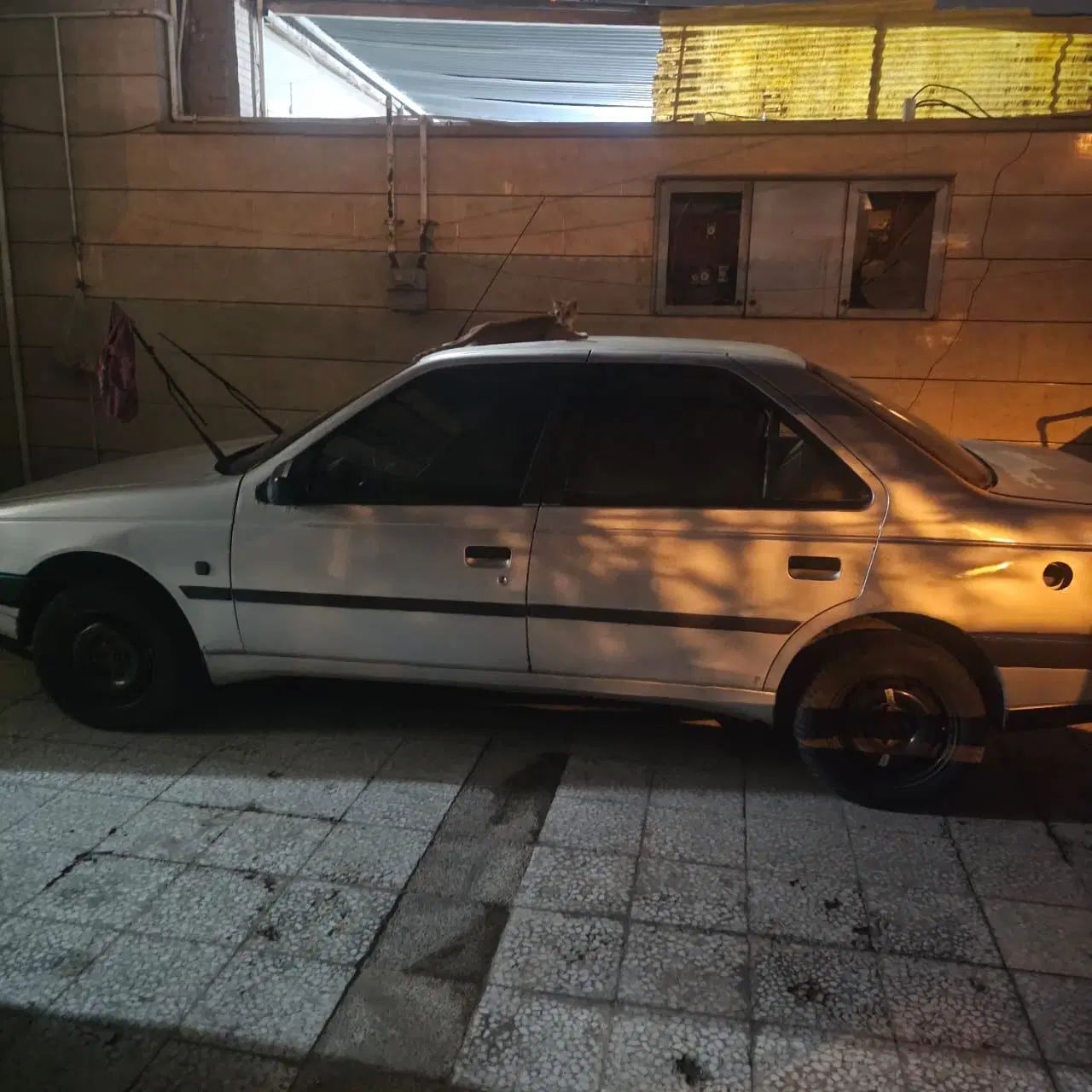 پژو 405 GLX - دوگانه سوز - 1388