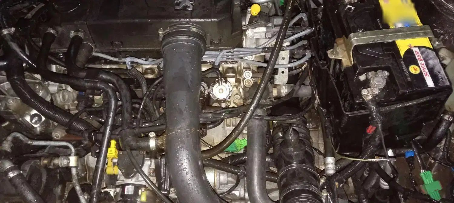 پژو 405 GLX - دوگانه سوز LPG - 1372