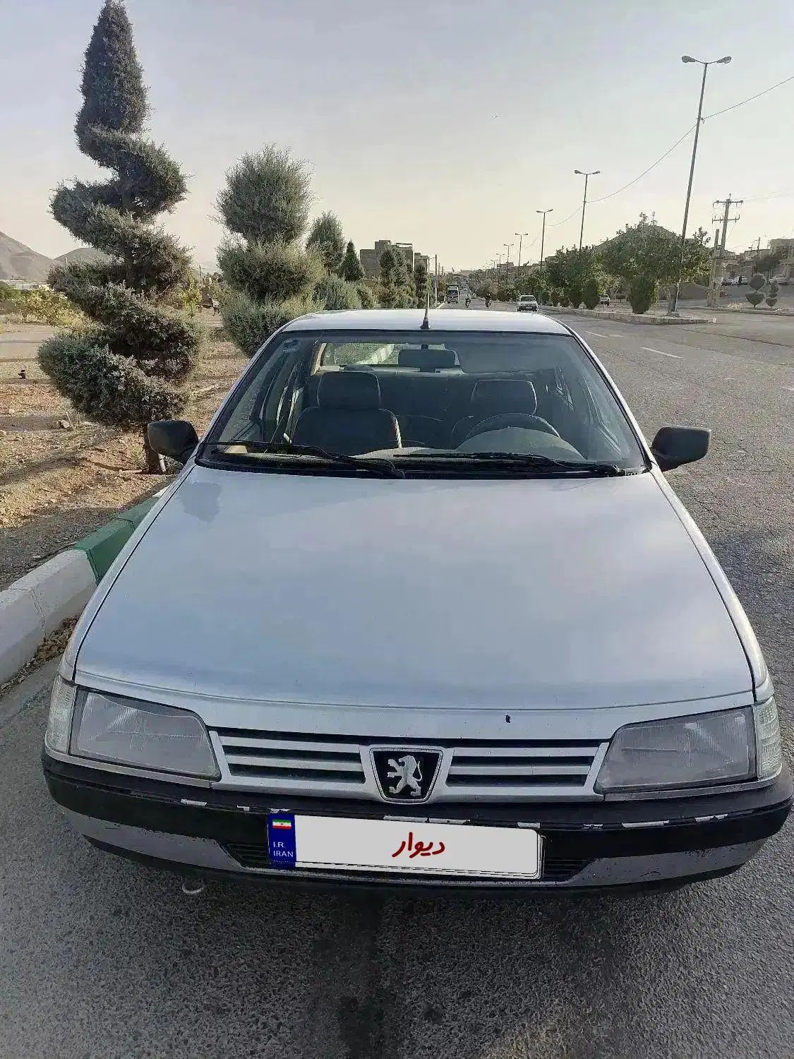 پژو 405 GLX - دوگانه سوز - 1394