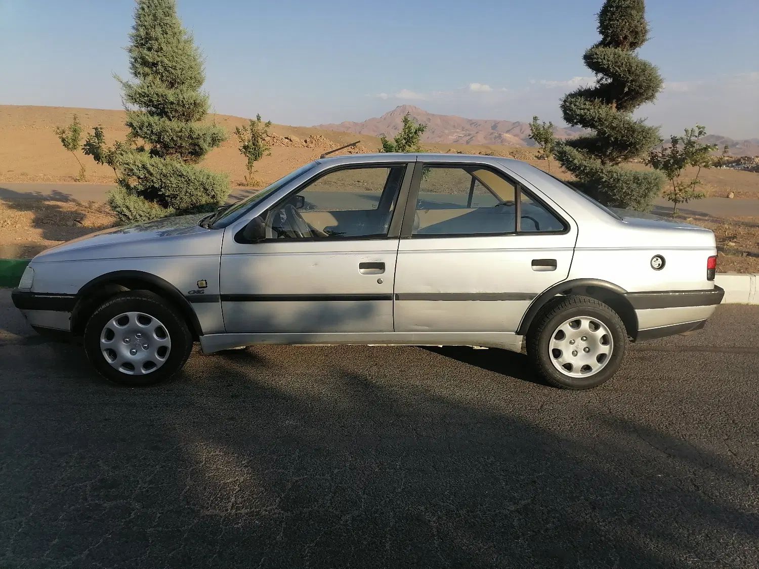 پژو 405 GLX - دوگانه سوز - 1394