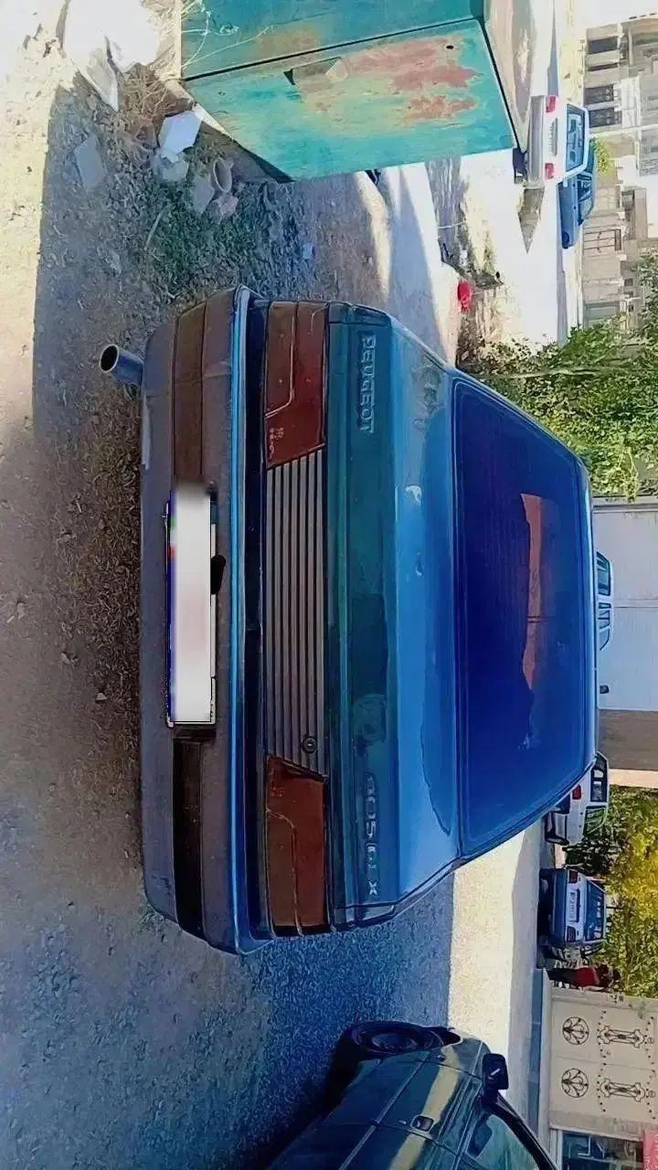 پژو آردی دوگانه سوز CNG - 1384