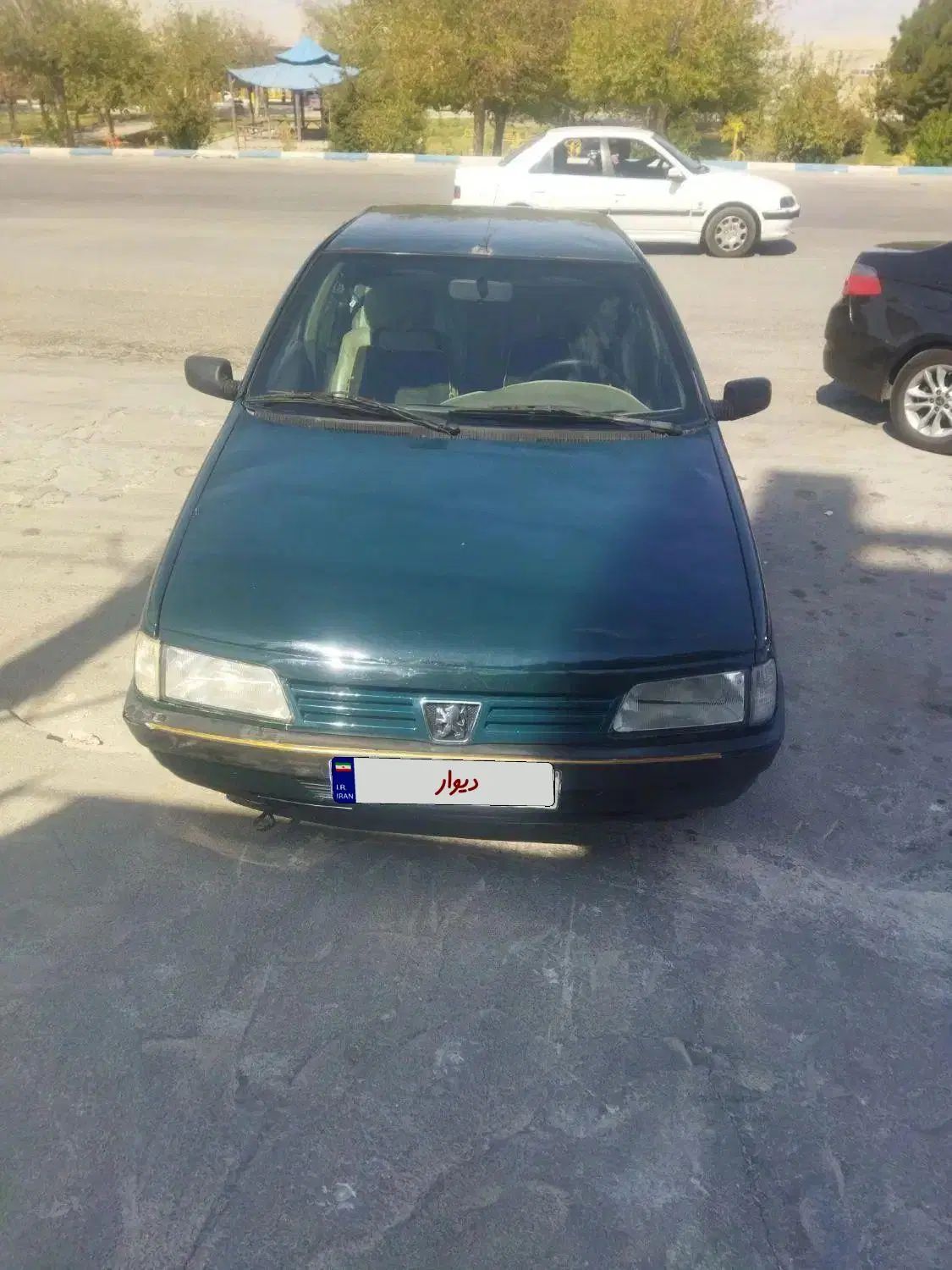 پژو آردی دوگانه سوز CNG - 1384