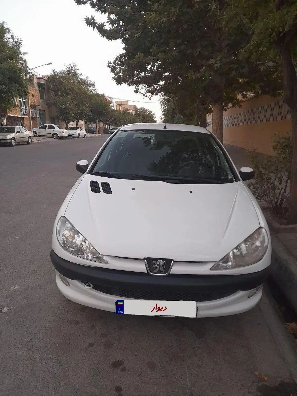 پژو ۲۰۶ صندوق دار v8 - 1399