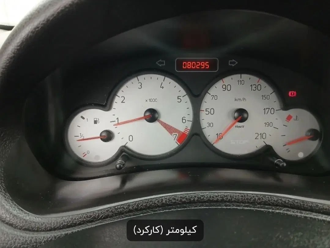 پژو 206 تیپ 5 - 1395