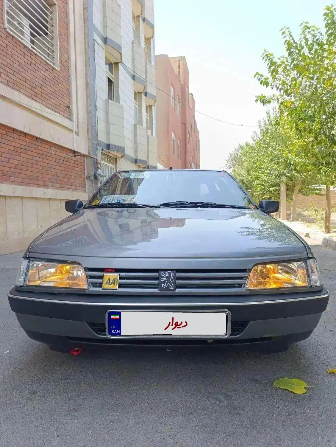 پژو 405 GLX - دوگانه سوز - 1387