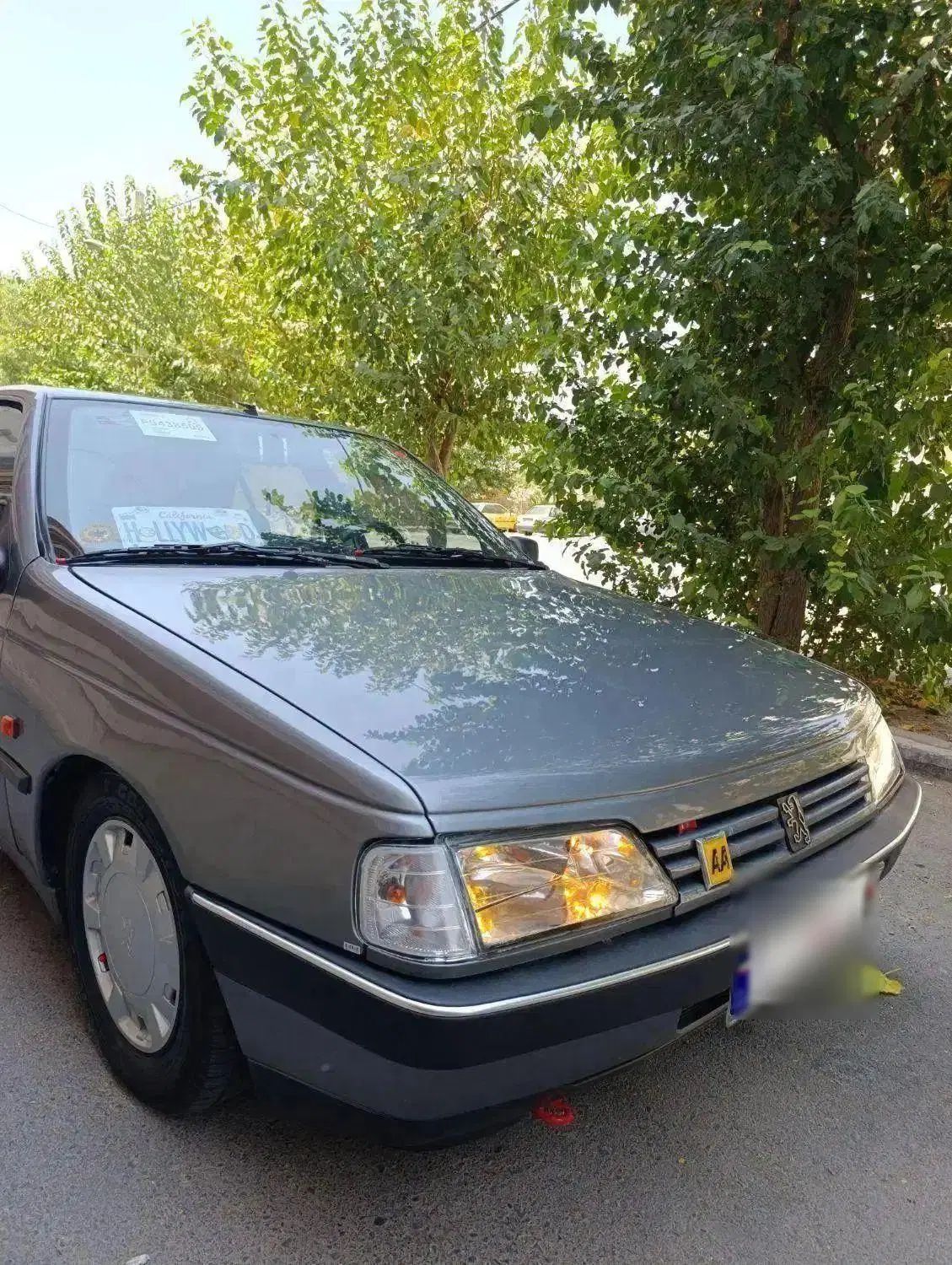 پژو 405 GLX - دوگانه سوز - 1387