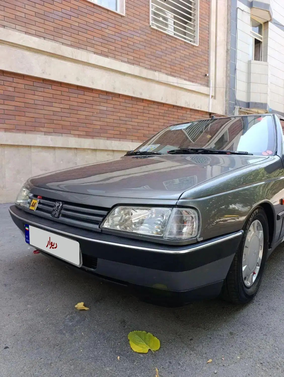 پژو 405 GLX - دوگانه سوز - 1387