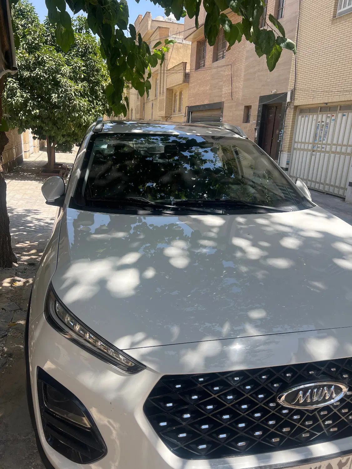 ام وی ام X22 پرو اتوماتیک اکسلنت - 1403