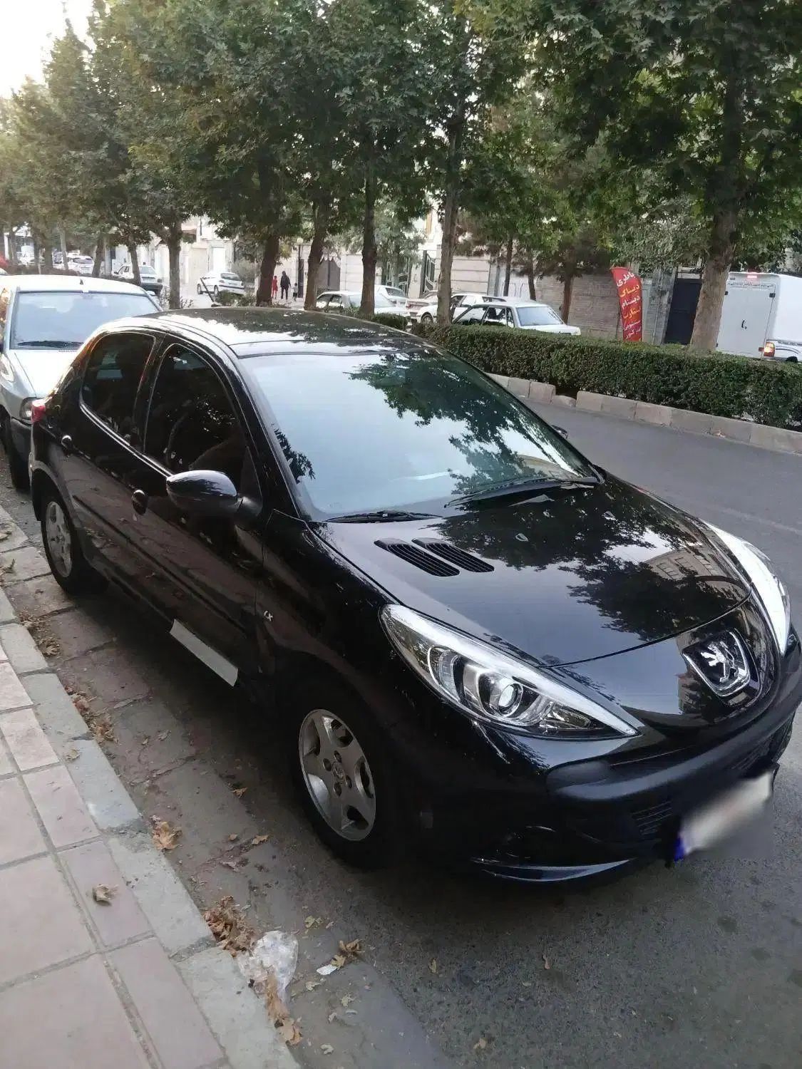 خودرو پژو، 207 آگهی ann_20020503