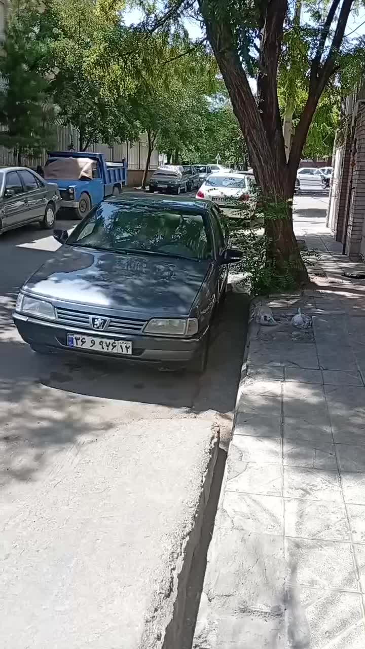 پژو 405 GLX - دوگانه سوز - 1394
