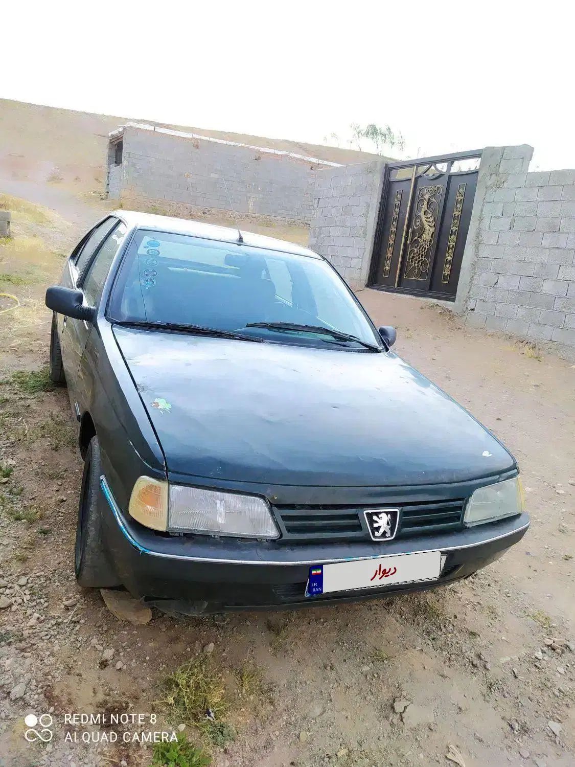 پژو آردی دوگانه سوز CNG - 1383
