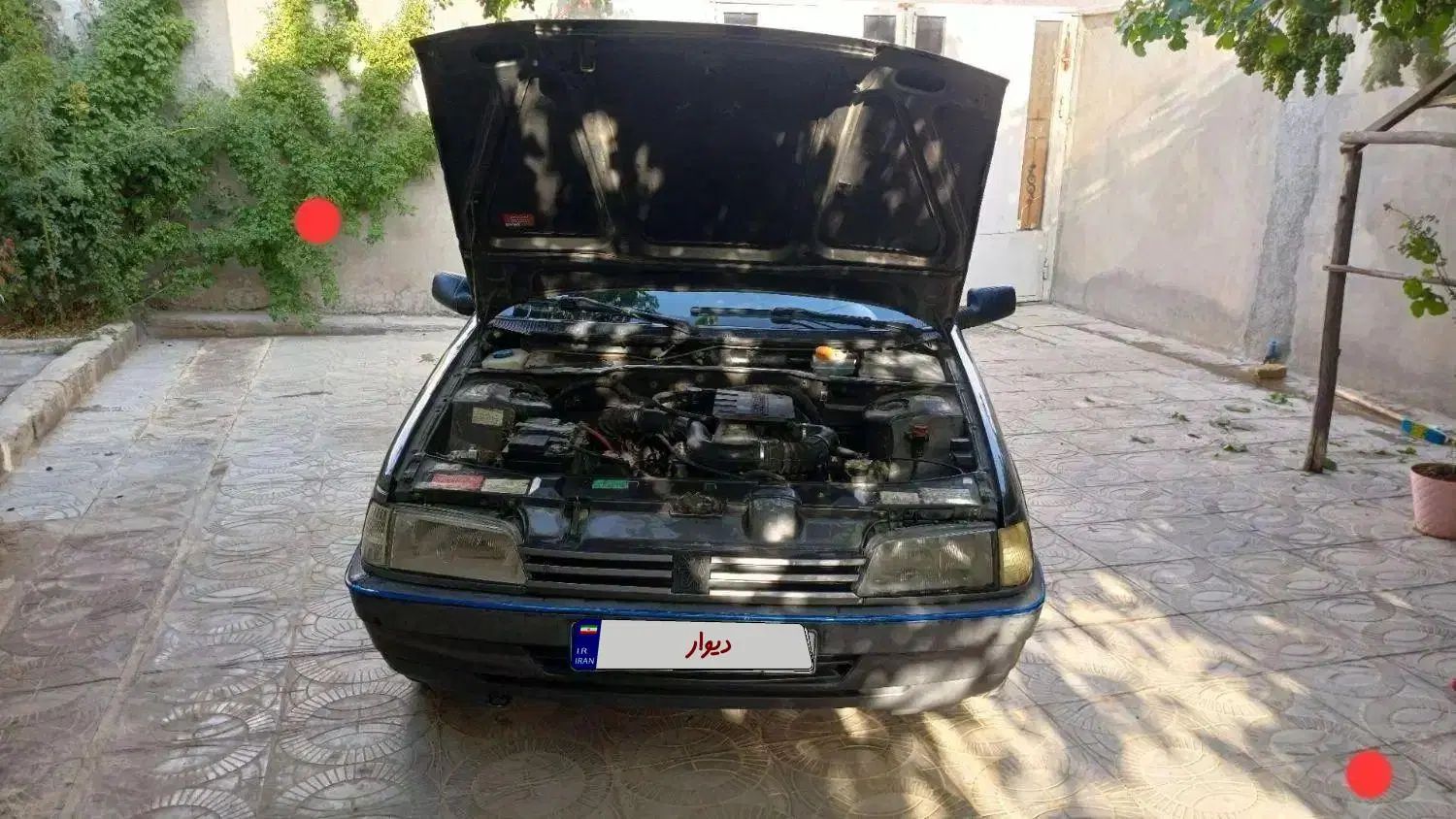 پژو روآ دوگانه سوز - 1386