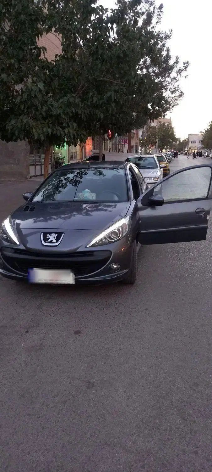خودرو پژو، 207 آگهی ann_20021100