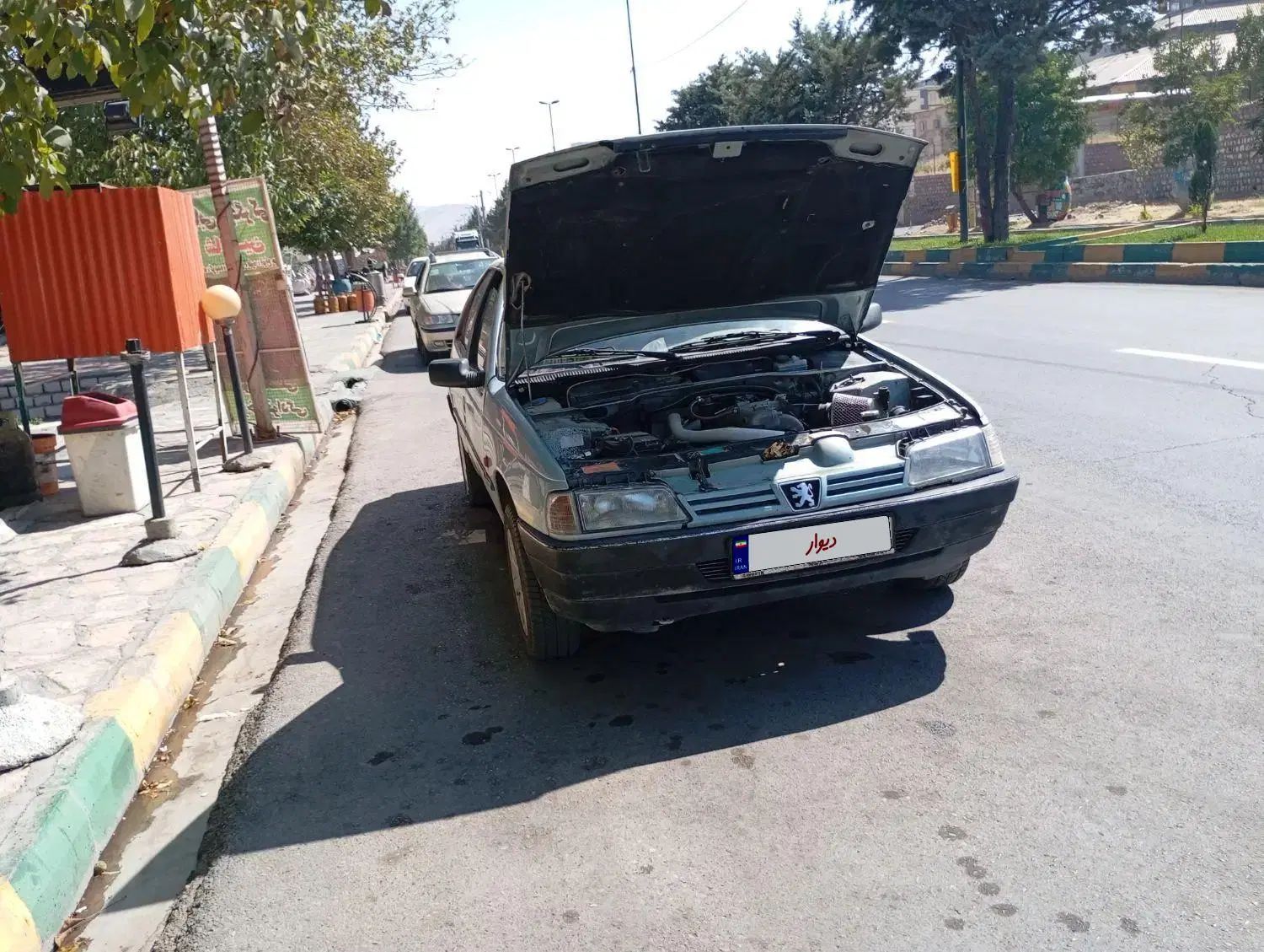پژو روآ دوگانه سوز - 1386
