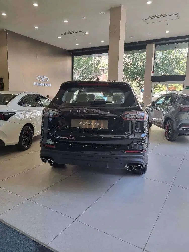 فونیکس تیگو 8 پرومکس IE - 2025