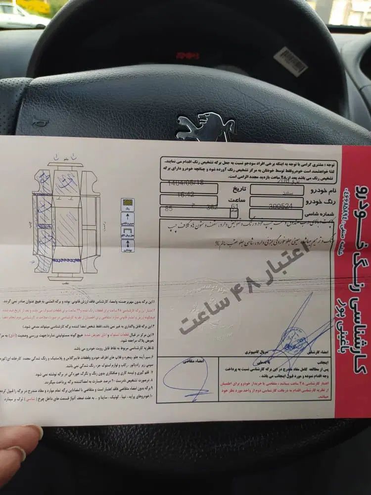پژو 206 تیپ 5 - 1394