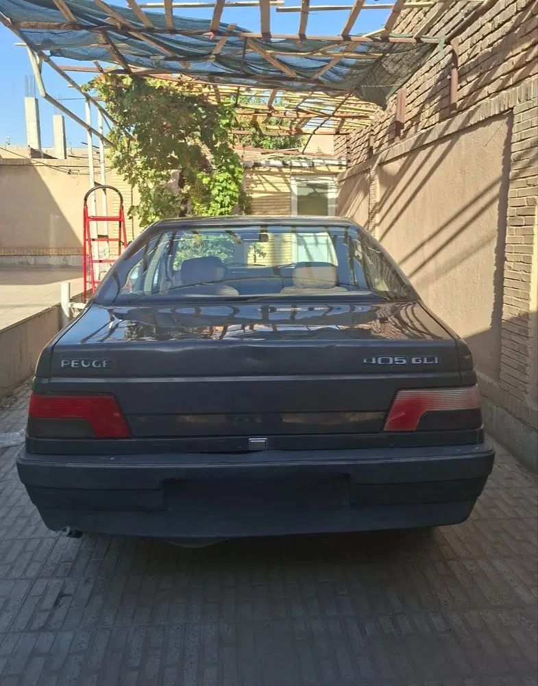 خودرو پژو، 405 آگهی ann_20030028